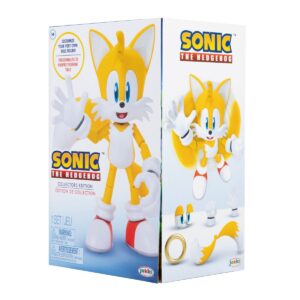 Read more about the article First Look at New Modern Tails JAKKS Pacific Collectors Figure